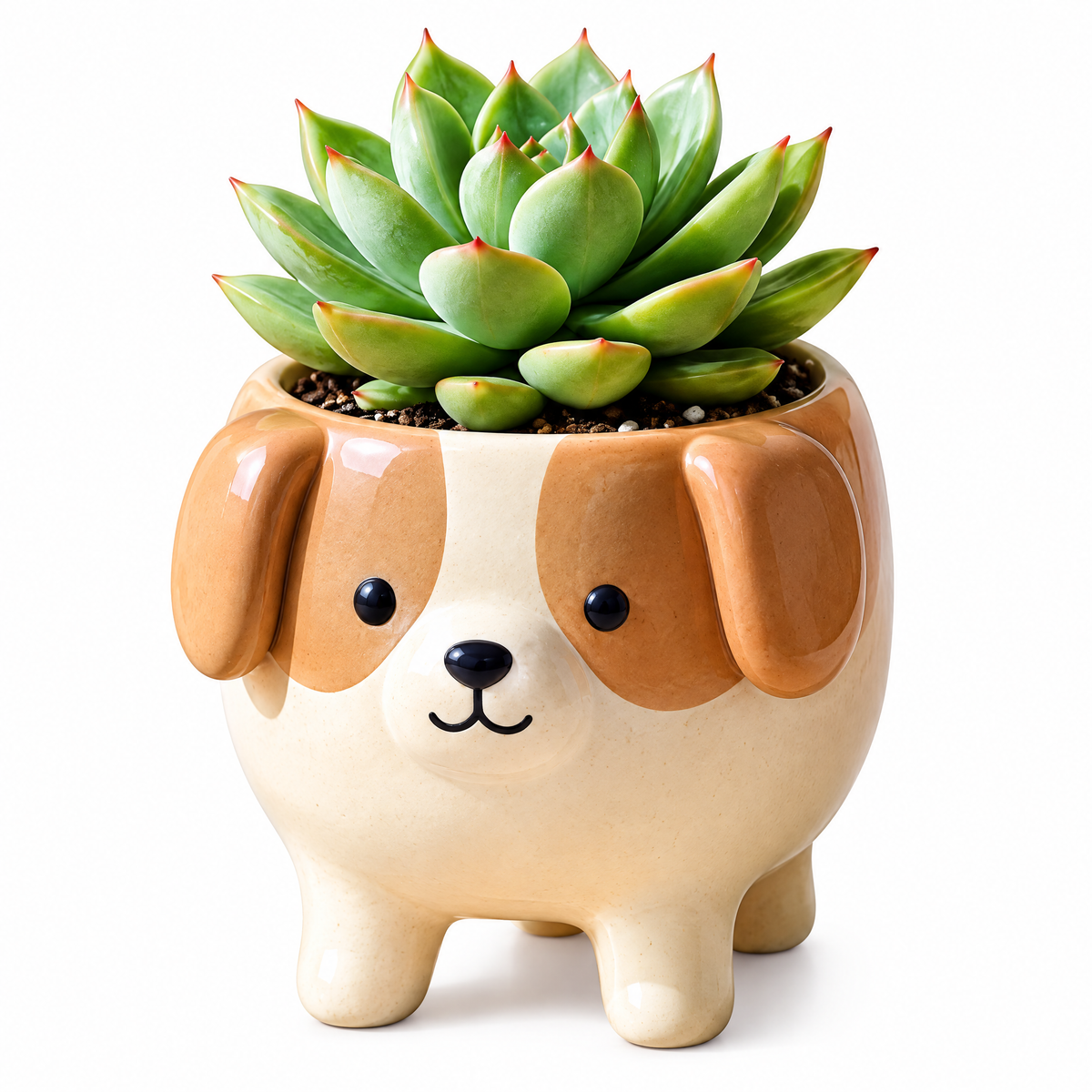 Puppy Ceramic Succulent Planter — view 4