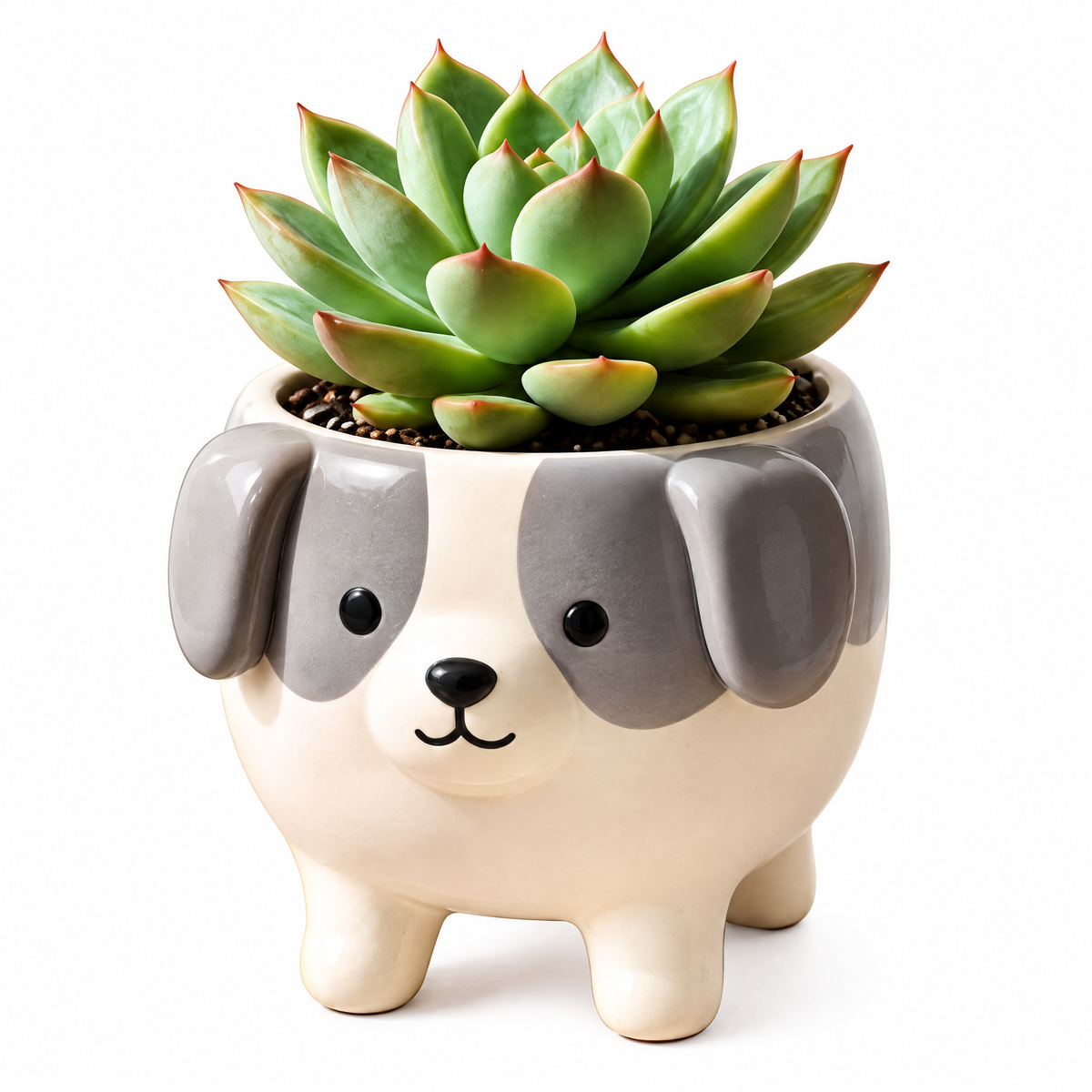 Puppy Ceramic Succulent Planter — alternative design reference only